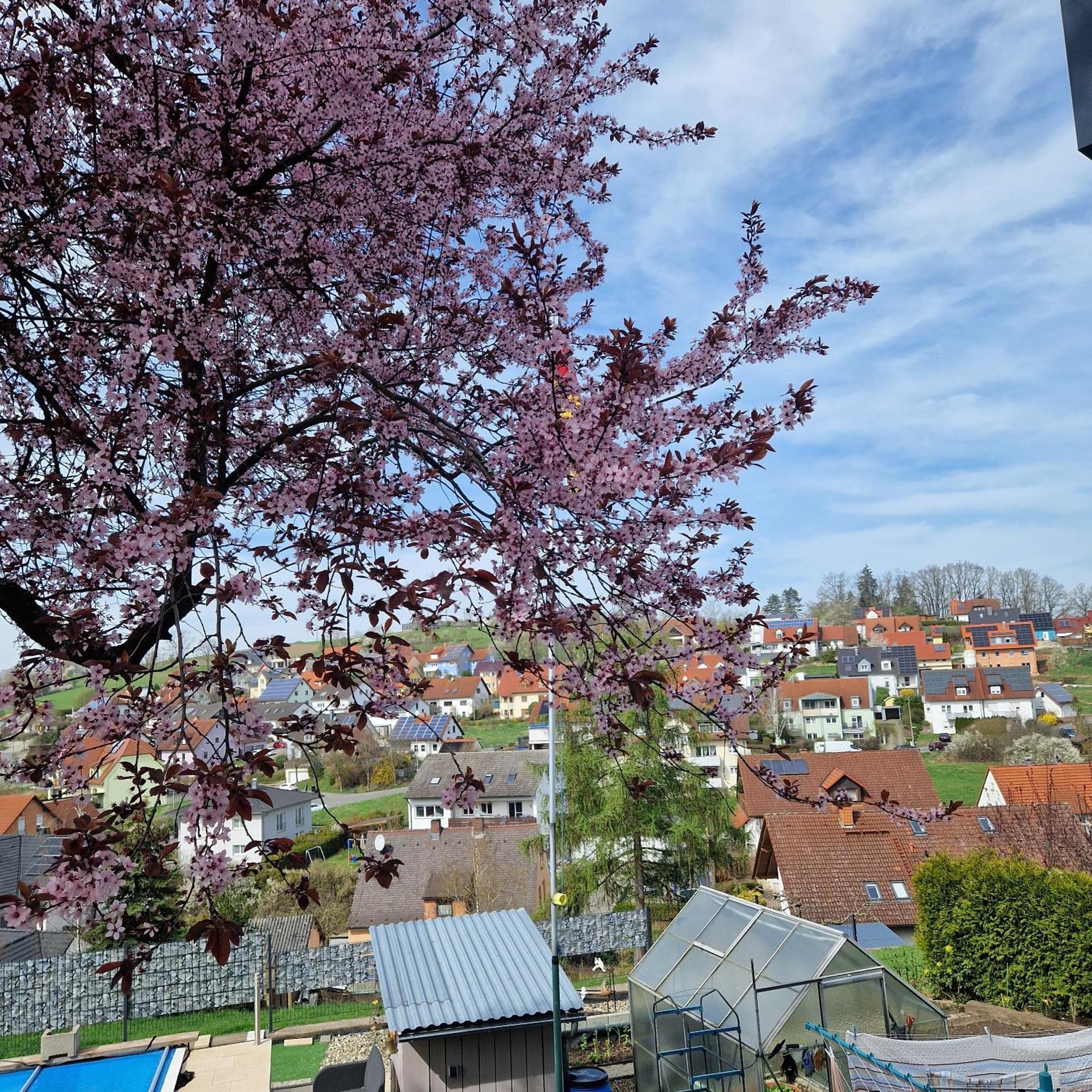 Ferienwohnung Wachter In Viereth Mit Tollem Ausblick 외부 사진