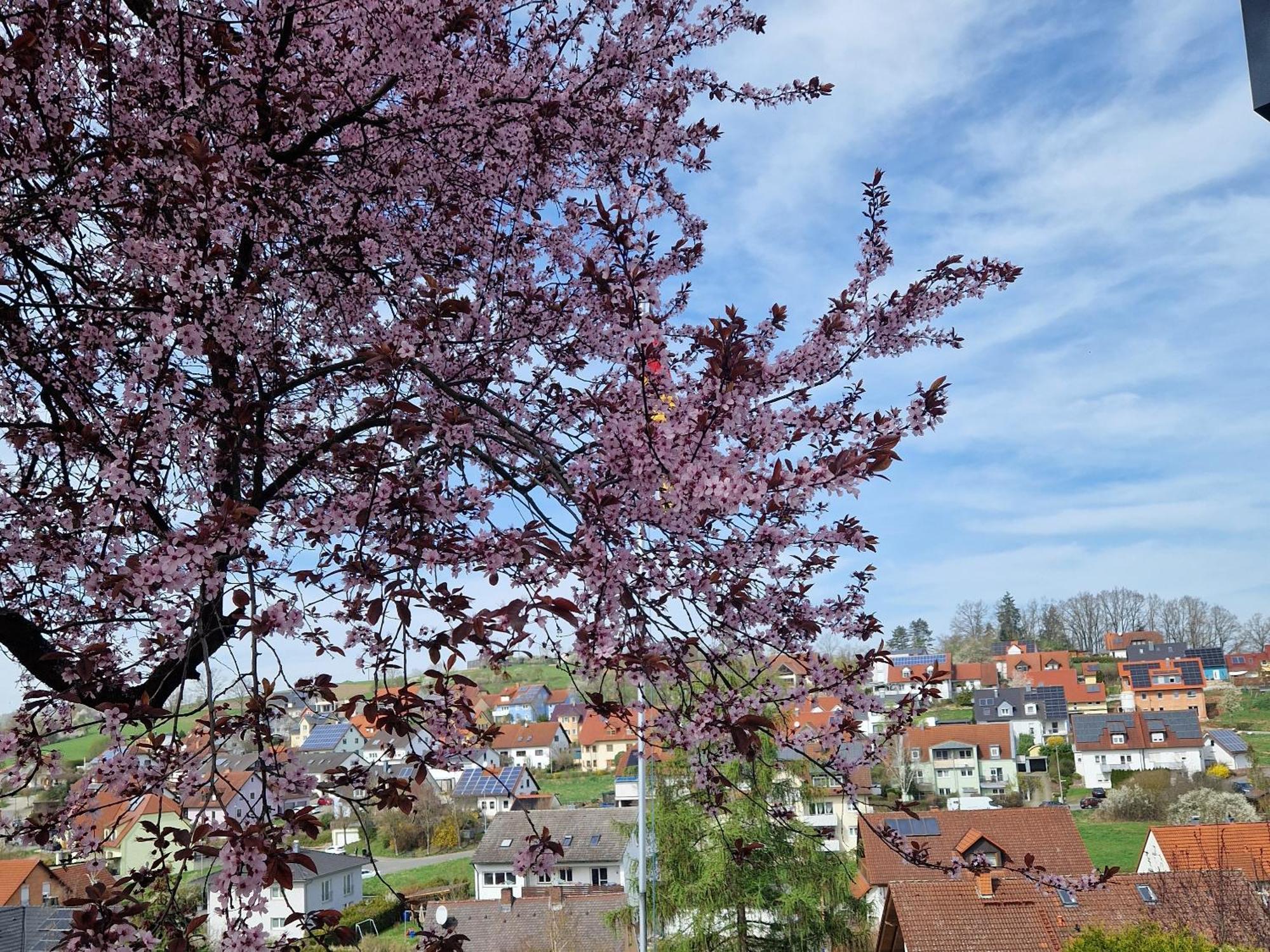 Ferienwohnung Wachter In Viereth Mit Tollem Ausblick 객실 사진